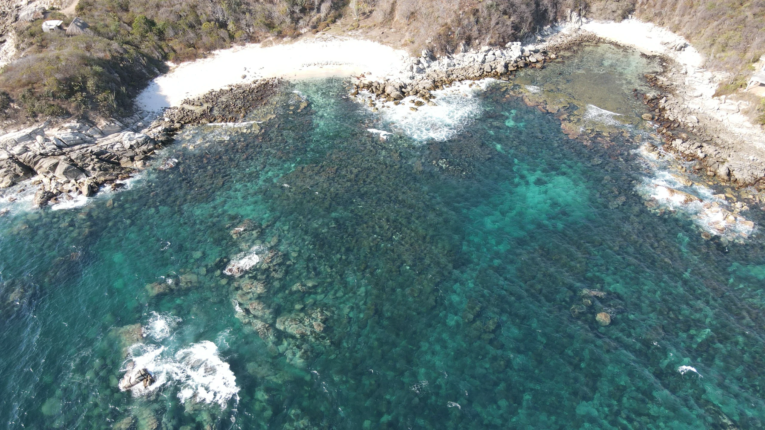 DJI_0131